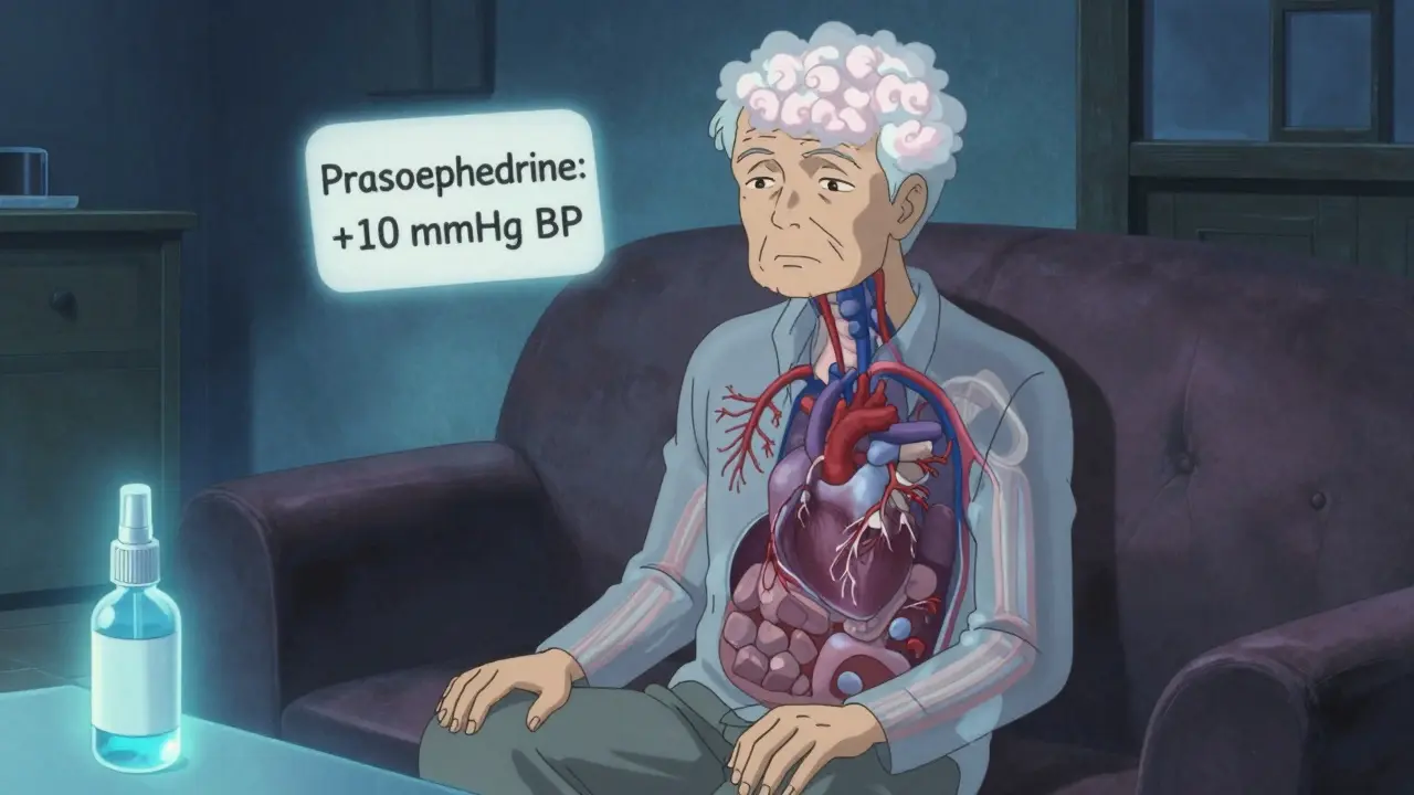 Elderly man with transparent body showing strained heart and blood vessels, surrounded by distorted room and safe saline spray.